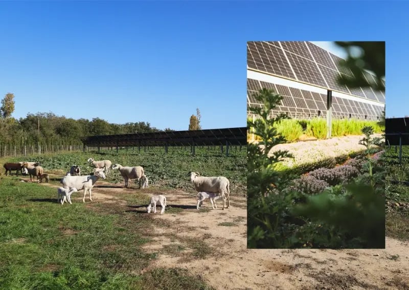 Panneaux photovoltaïques Visolar