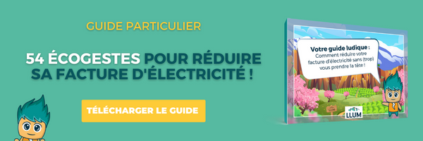 Télécharger le guide particulier