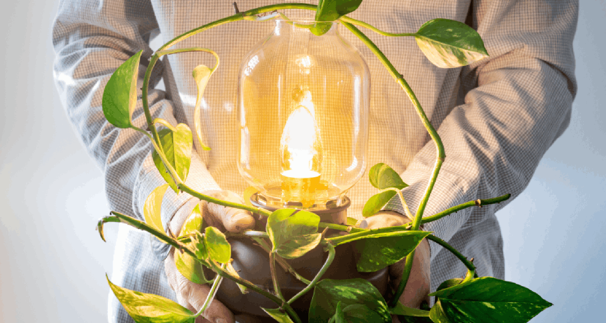 contrat electricite verte